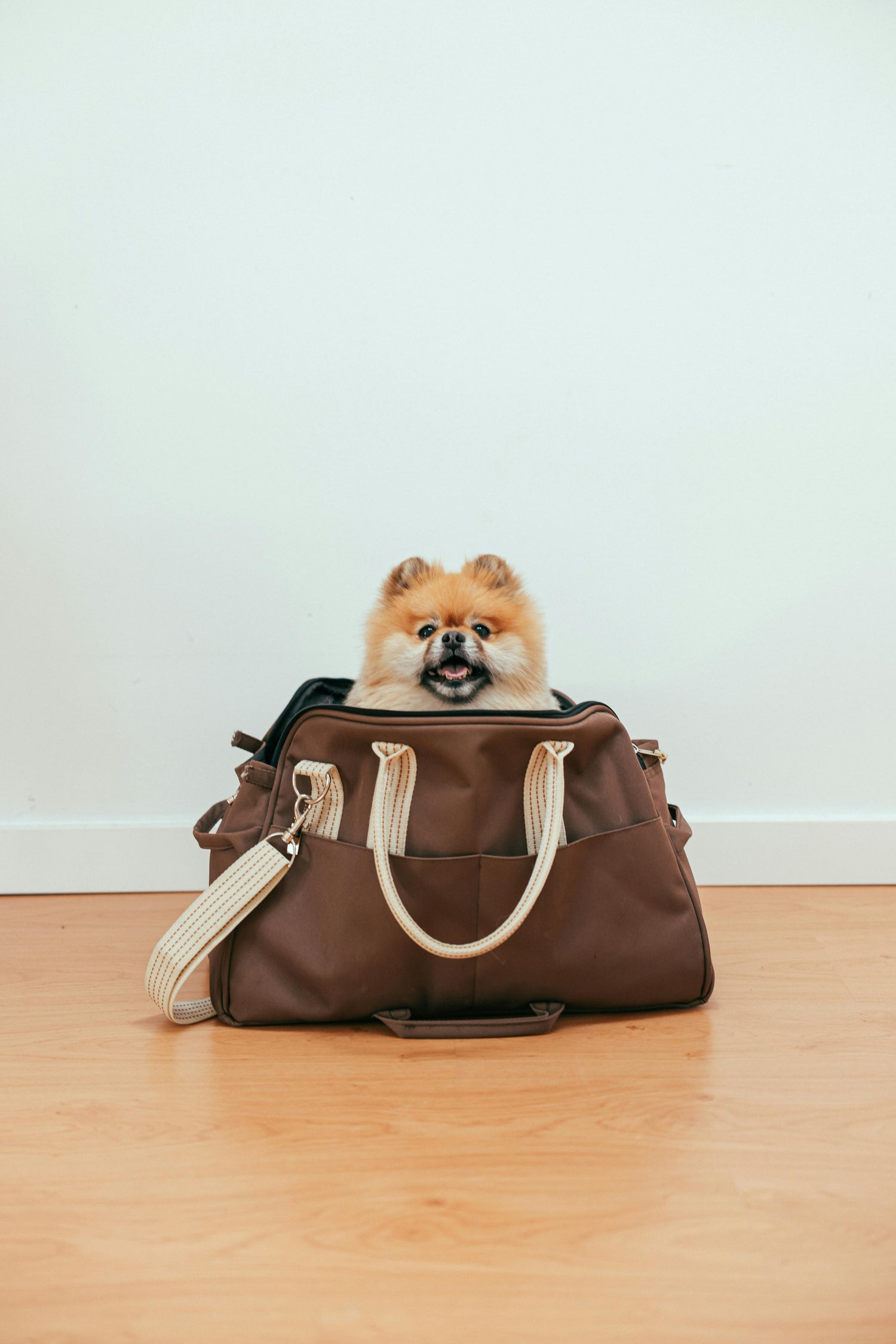 Pet Carrying Bags