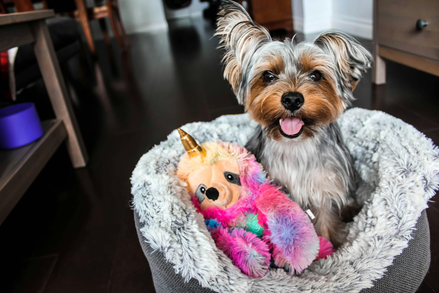 Pet Beds