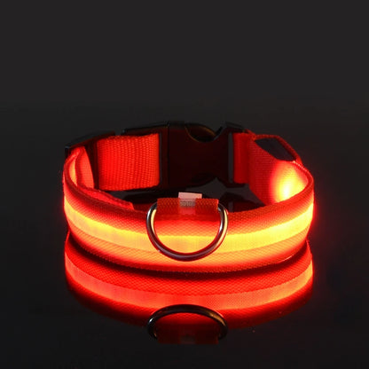 Nylon LED Dog Fluorescent Collar