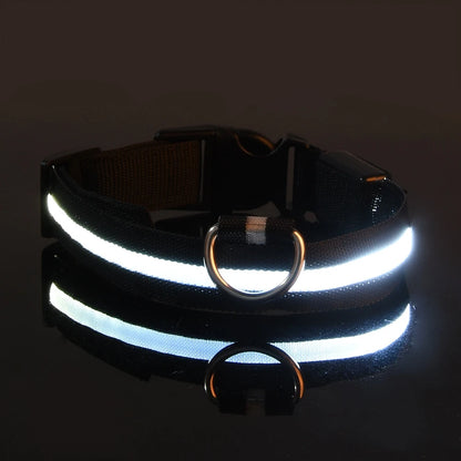 Nylon LED Dog Fluorescent Collar