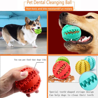 Dog Treat Feeder Toy Ball