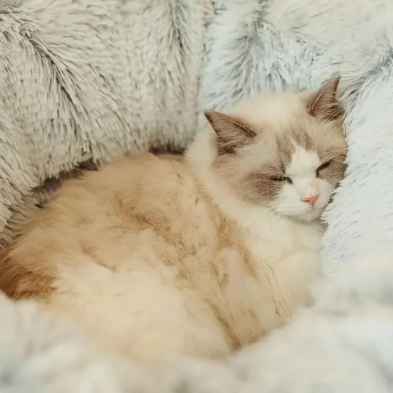 Plush Cat Donut Tunnel Bed