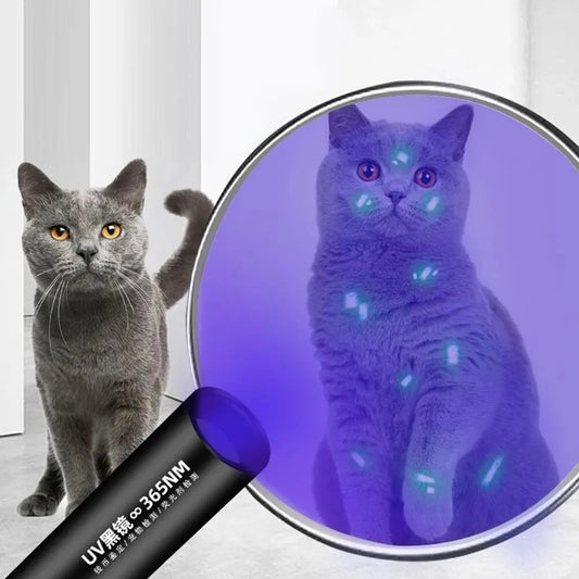 Cat Moss Detection Fluorescent Flashlight