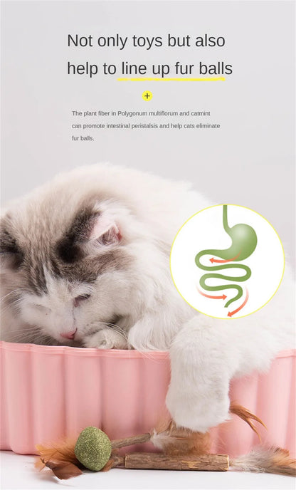 Catnip Toys for Cats