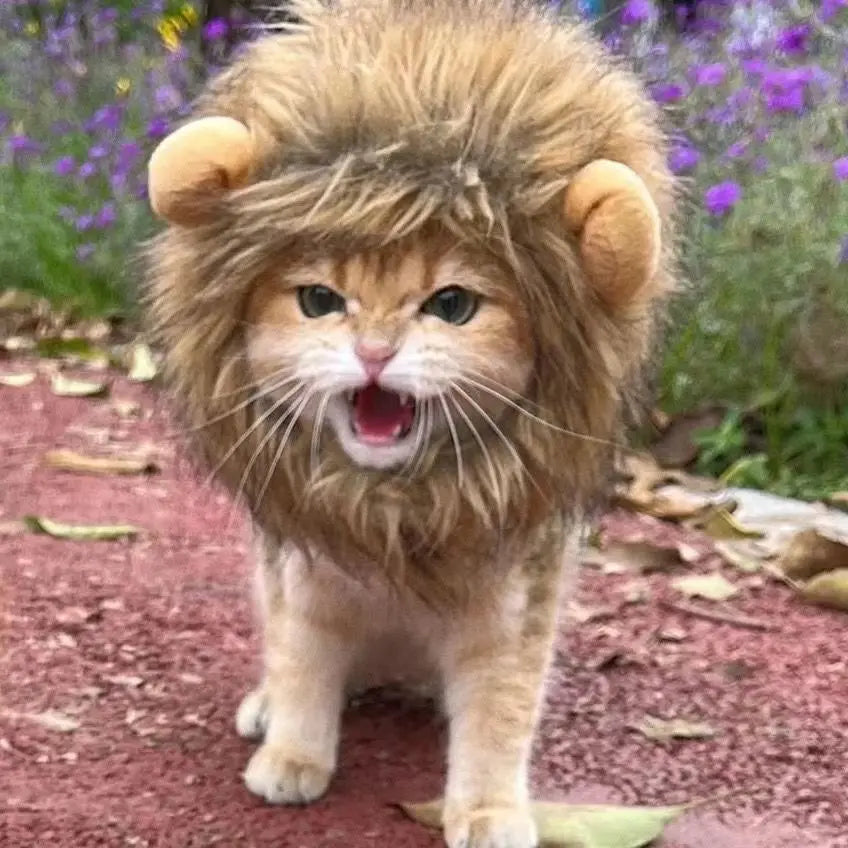 Cute Cat Lion Wig