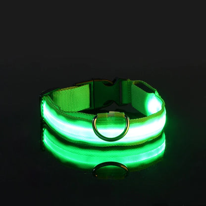 Nylon LED Dog Fluorescent Collar