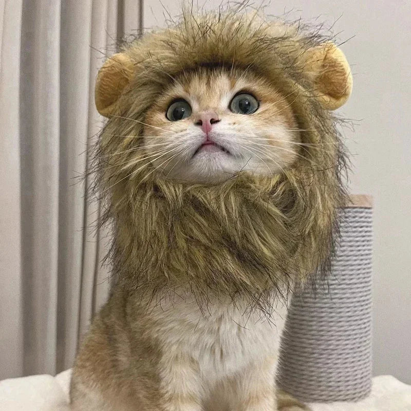 Cute Cat Lion Wig