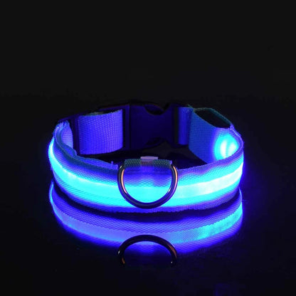 Nylon LED Dog Fluorescent Collar