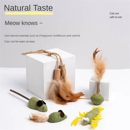 Catnip Toys for Cats