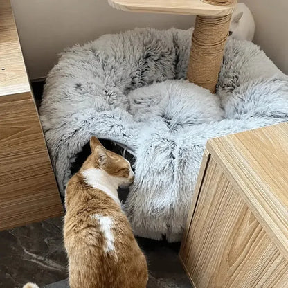 Plush Cat Donut Tunnel Bed