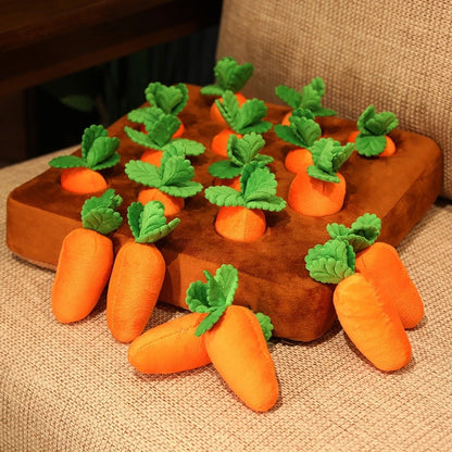 Carrot Mat - Dog Sniffing Toy