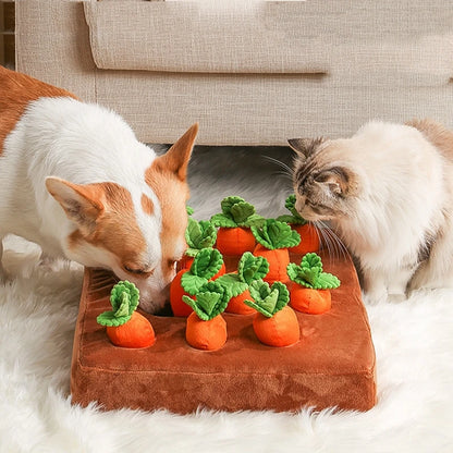 Carrot Mat - Dog Sniffing Toy