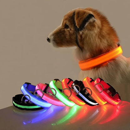 Nylon LED Dog Fluorescent Collar