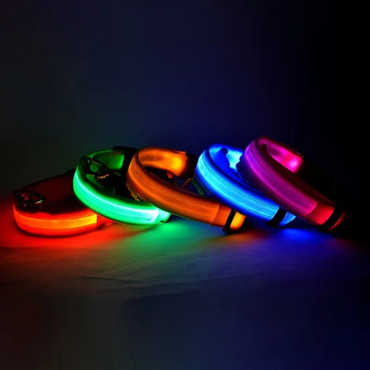 Nylon LED Dog Fluorescent Collar