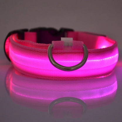 Nylon LED Dog Fluorescent Collar