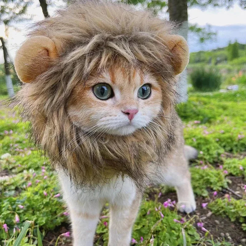 Cute Cat Lion Wig