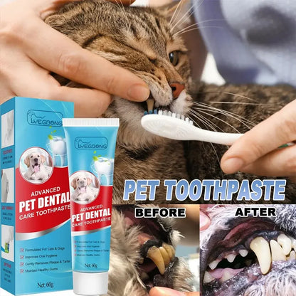 Pet Toothpaste (Cat, Dog)