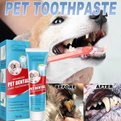 Pet Toothpaste (Cat, Dog)