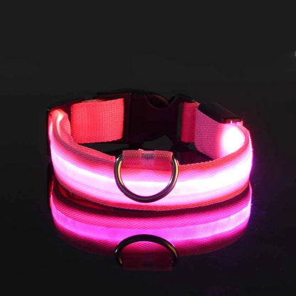 Nylon LED Dog Fluorescent Collar