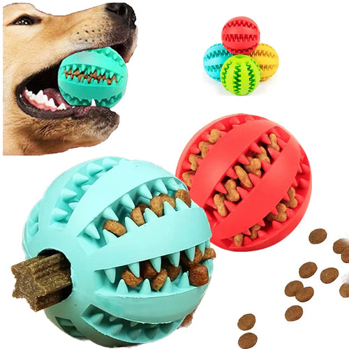 Dog Treat Feeder Toy Ball