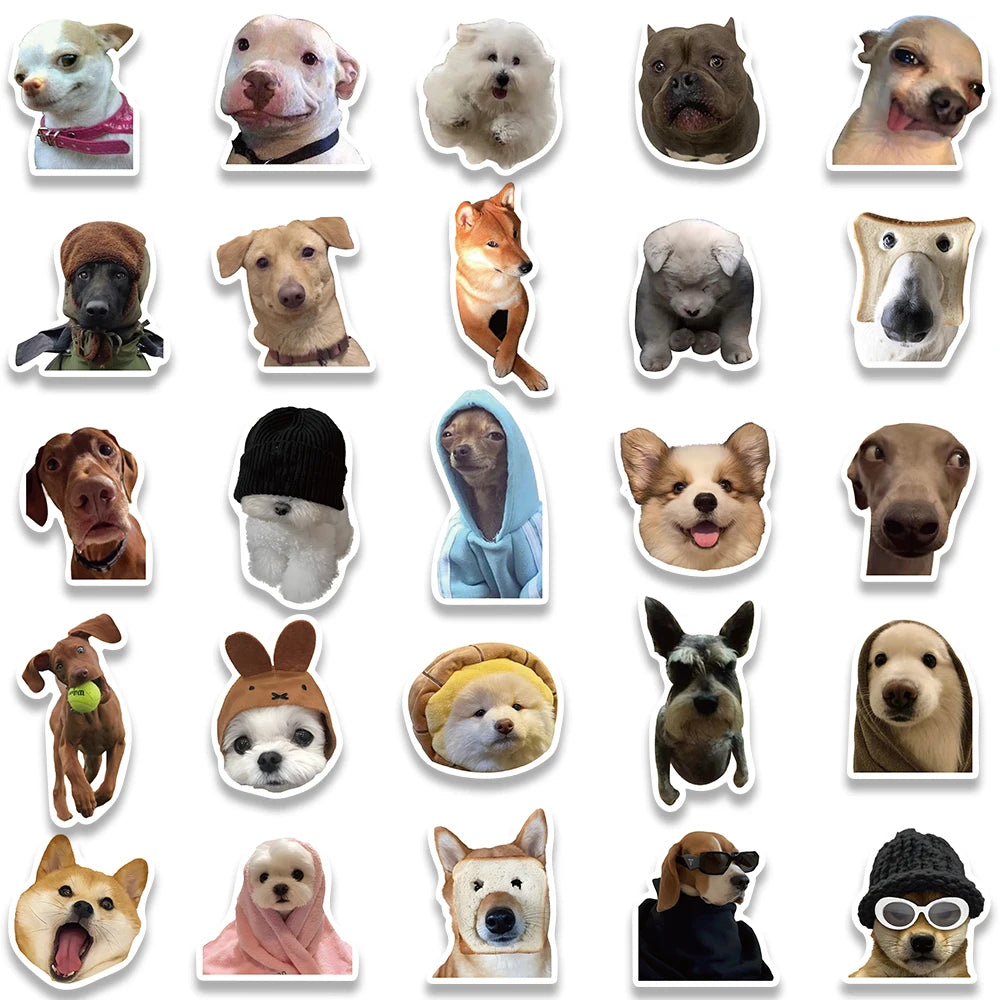 Cute Dogs / Cats MEME Stickers