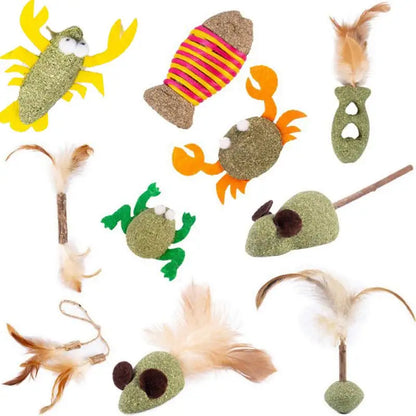 Catnip Toys for Cats