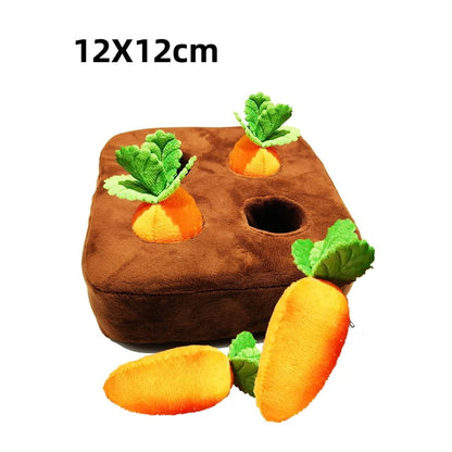 Carrot Mat - Dog Sniffing Toy