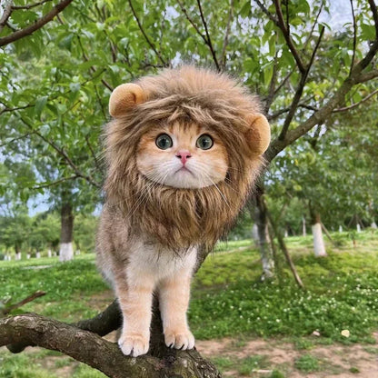 Cute Cat Lion Wig