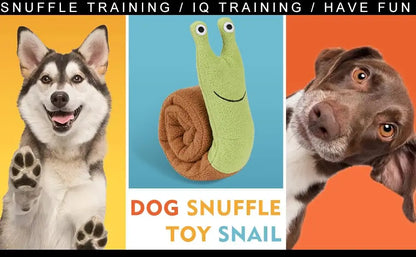 Snail - Dog Sniffing Toy