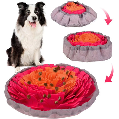 Circular Pad - Dog Sniffing Toy