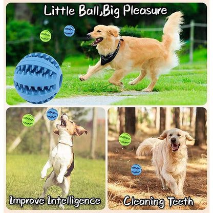 Dog Treat Feeder Toy Ball