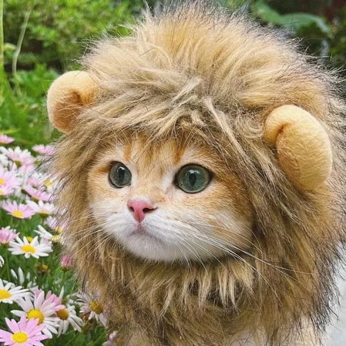 Cute Cat Lion Wig