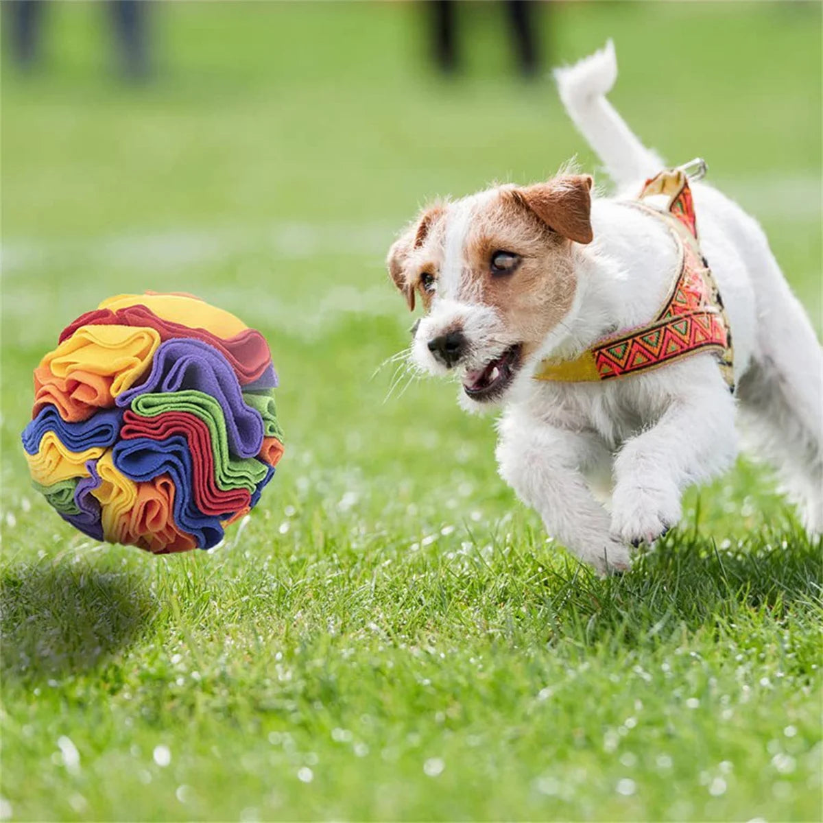 Dog Sniffing Trainer Ball Toy